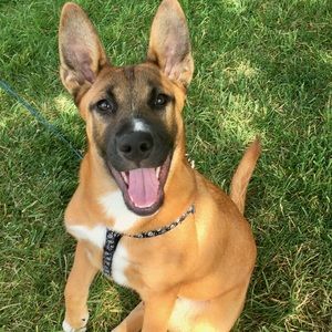 Meet your Posher, Hilary